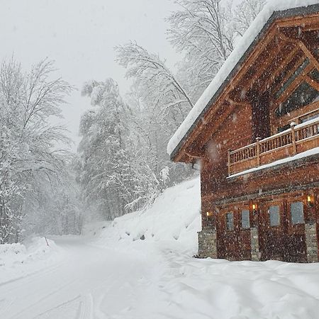 Chalet Entier 110M2 Avec Vue Et Sauna A 10 Min Des Pistes Sainte-Foy-Tarentaise Exteriör bild